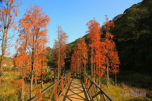 石门国家森林公园
