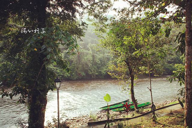 隐世秘境,探访神秘的南海明珠--文莱