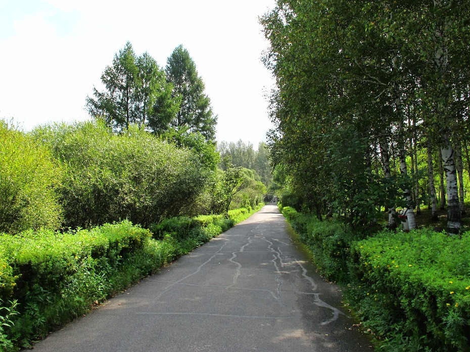 小兴安岭植物园