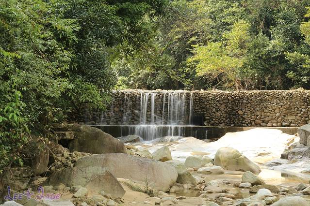 南岭国家森林公园