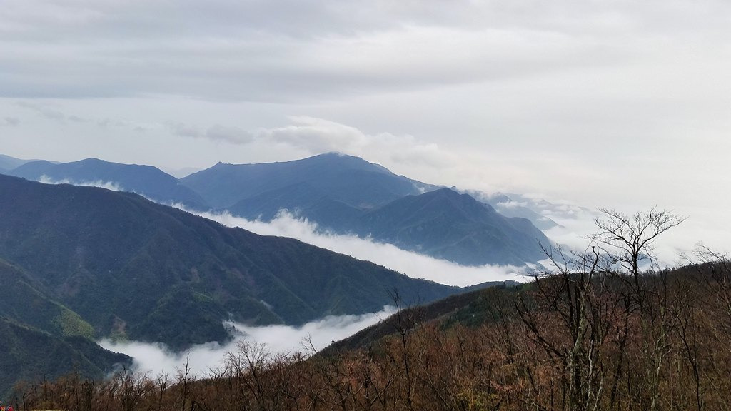 古称金仙顶,天柱峰,在西天目山绝顶,海拔1506米.