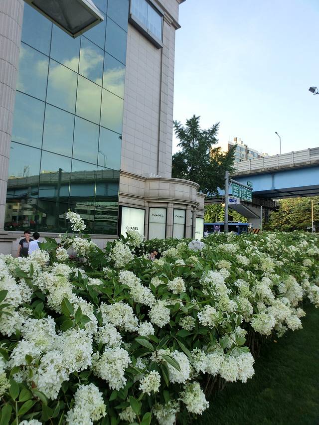 现代百货店狎鸥亭总店