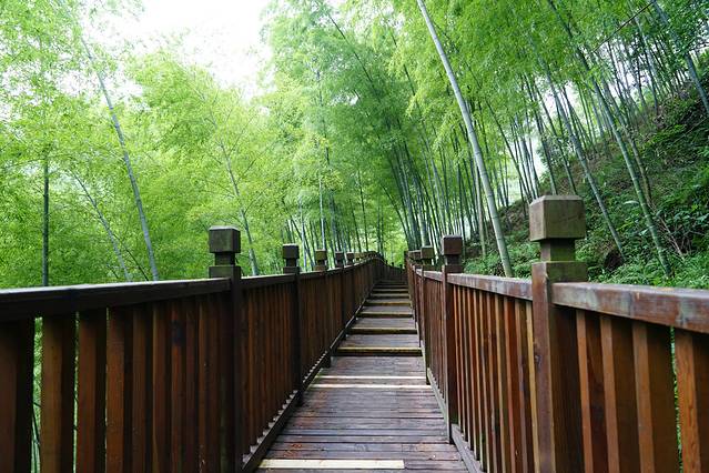 宜兴竹海风景区