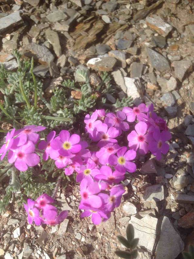 通天河渡口白塔