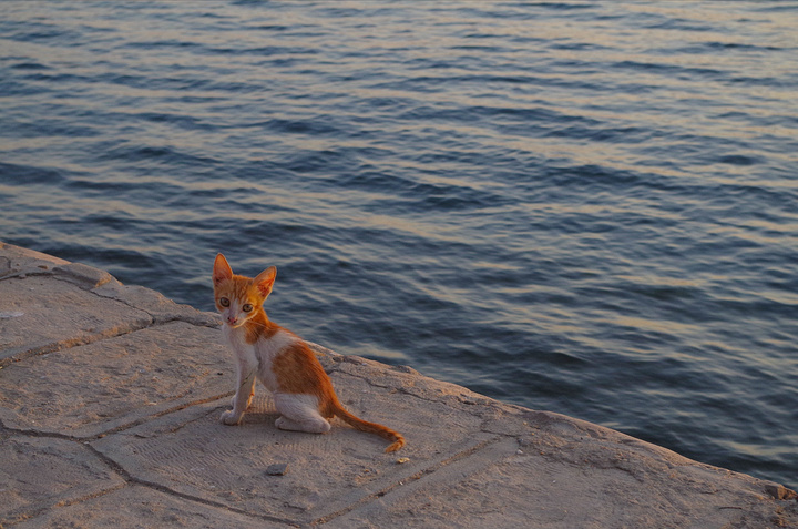 2017(我发现埃及人真的超级喜欢和外国人一起