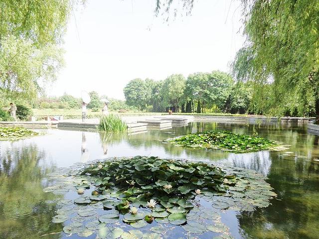 隋唐城遗址植物园