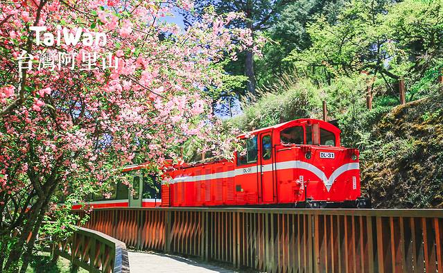 阿里山国家森林游乐区