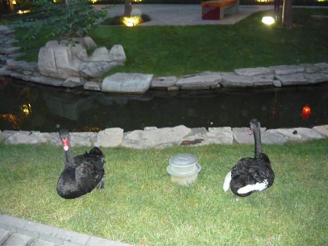 曲江寒窑遗址公园