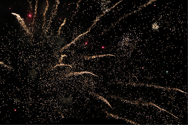 游客带着孩子请尊重下文物的保护,居然鼓励孩子进入百草园的草堆玩耍