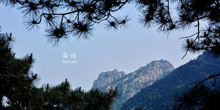 "攀登人间仙境91撩动游人的心弦._泰山风景区"的评论图片