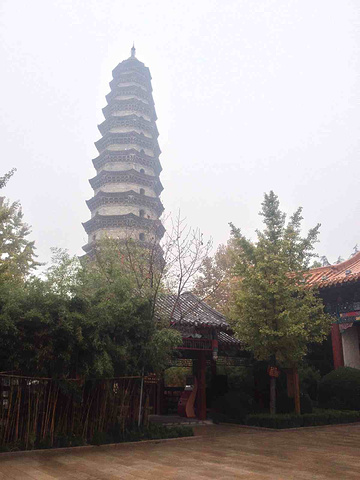 2017除一批著名汉碑移入孔庙外,林内尚有李格