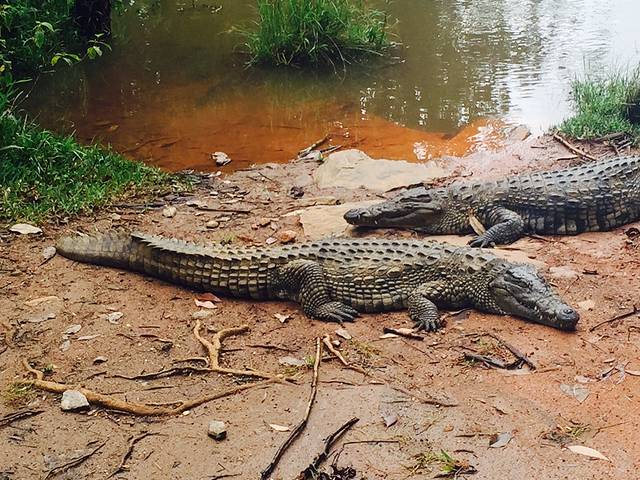 昂纳西贝国家森林公园