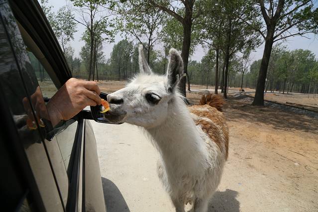 秦皇岛野生动物园