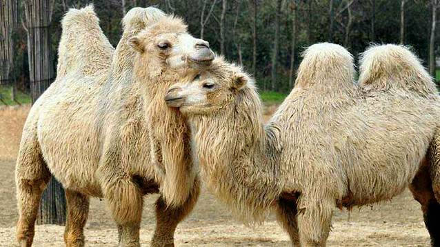 杭州野生动物世界