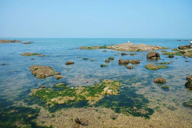 太公岛风景区