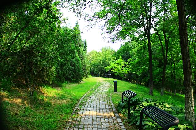 奥林匹克森林公园