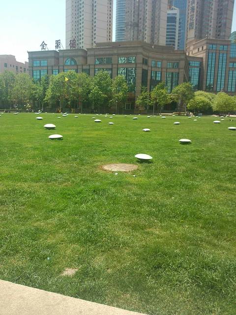 五四广场的草坪,有很多当地人带着孩子来放风筝.