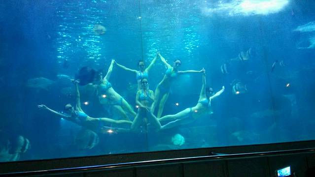 蓬莱欧乐堡海洋极地世界