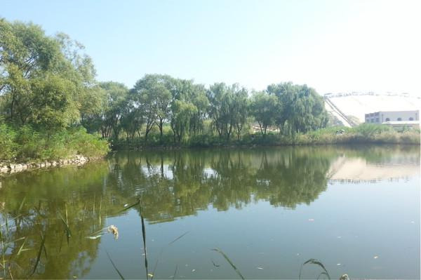 昌黎国际滑沙中心