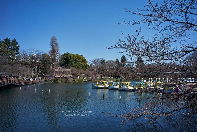 井之头自然文化公园