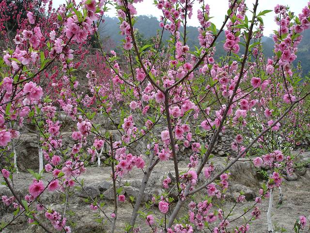 北溪文苑风景区