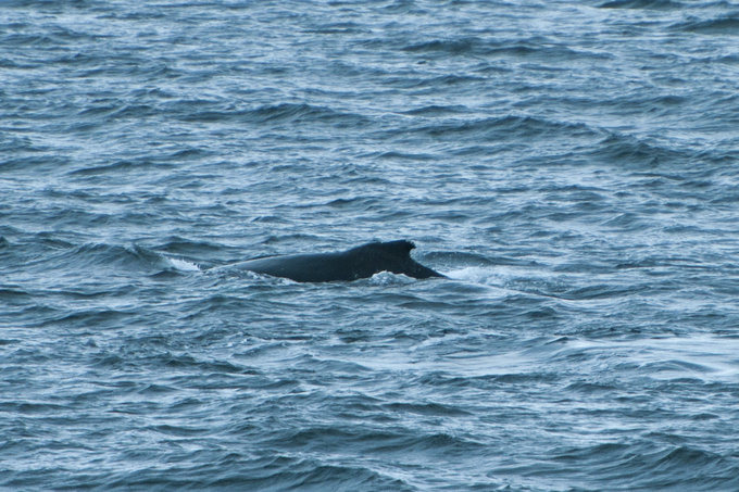 南极半岛的冰雪世界图片 南极半岛的冰雪世界图片