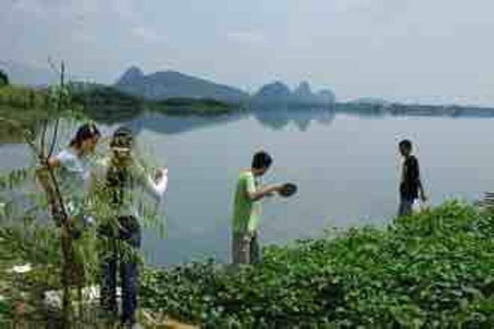 "景色一般，所谓的火烈鸟、丹顶鹤毫无生气，至于湿地景色，环湖绿道骑行就可以看到，不建议入内_星湖湿地公园"的评论图片