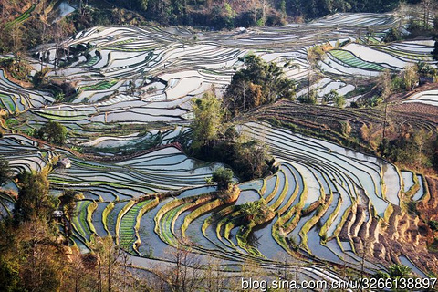 坝达景区旅游景点攻略图