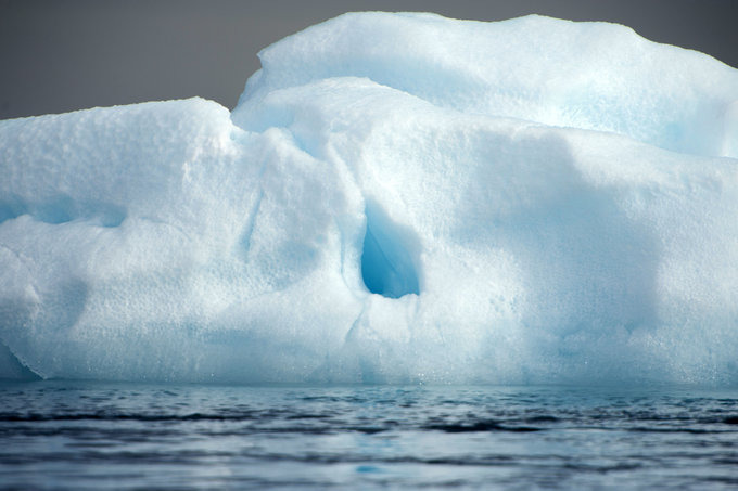 Paulet Island图片 Paulet Island图片