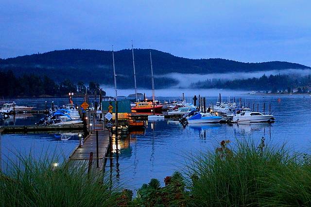 看枫叶飘零,领略加拿大的独特魅力