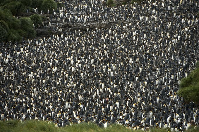 Salisbury Plain图片 Salisbury Plain图片