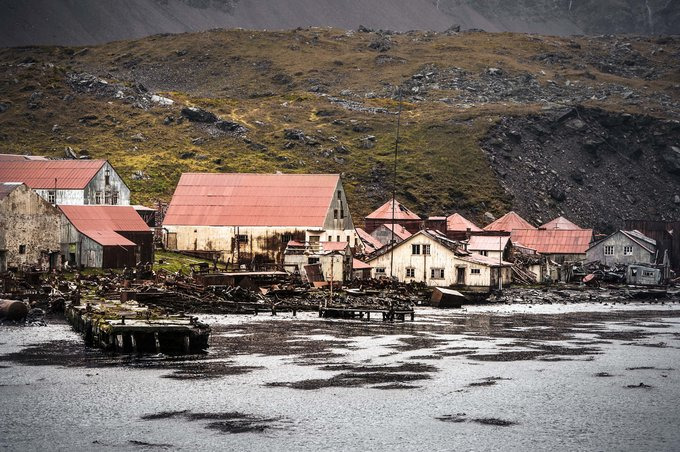 Leith Harbour图片 Leith Harbour图片