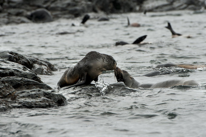 Cooper Bay图片 Cooper Bay图片