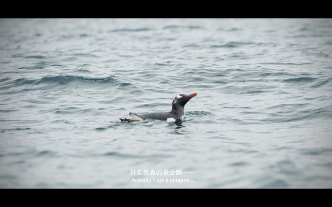 Cooper Bay图片 Cooper Bay图片