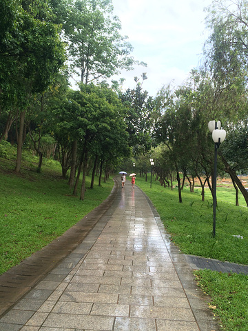 深圳公园排名_深圳湾公园(2)