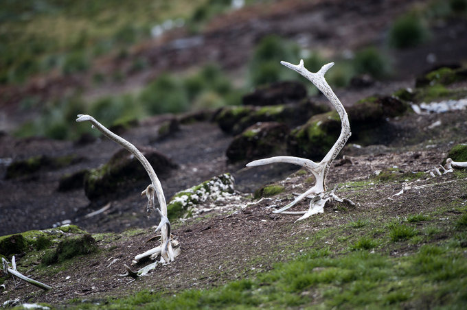 Godthul峡湾图片 Godthul峡湾图片