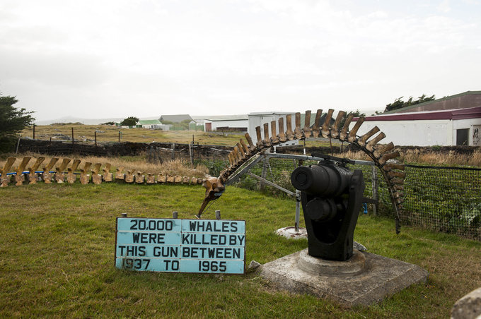 斯坦利港图片 斯坦利港图片