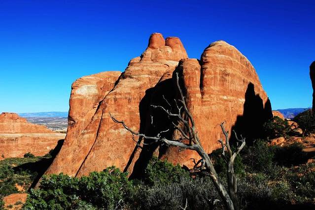 走一走美国的那些世界闻名公园