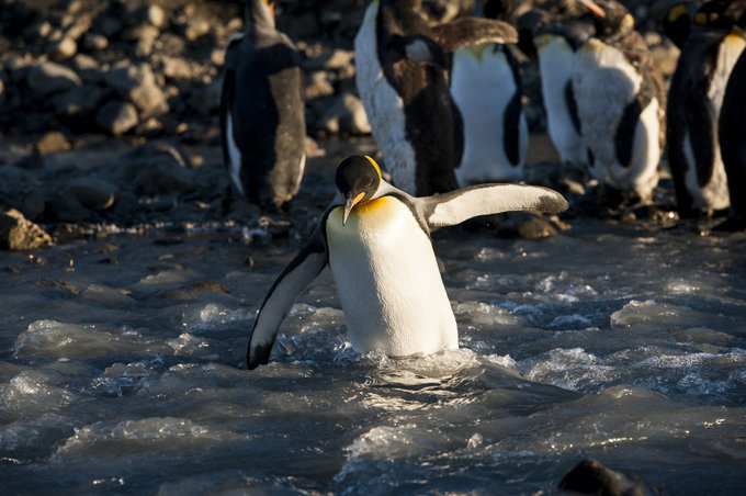 圣安德鲁斯海湾图片 圣安德鲁斯海湾图片