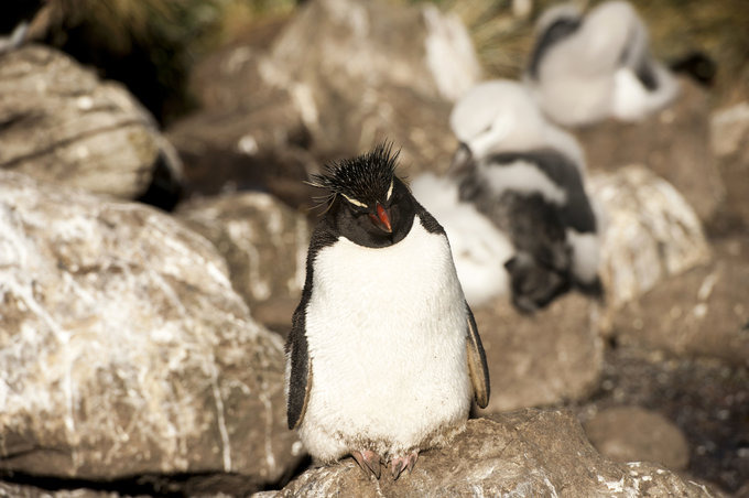 科普时间图片 科普时间图片