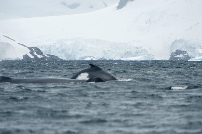 天堂港图片 天堂港图片