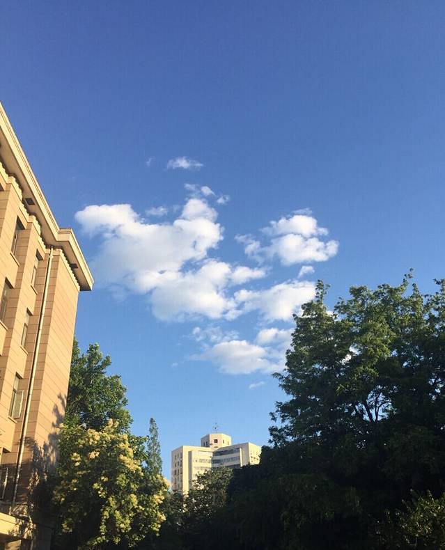 北京林业大学