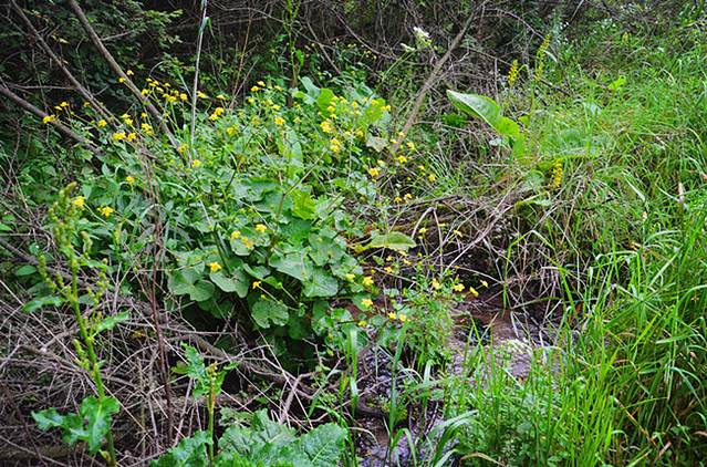 六盘山红军长征纪念亭