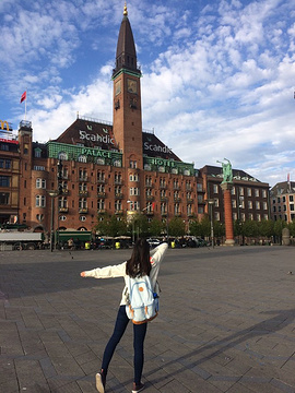 2017【哥本哈根旅游攻略】哥本哈根自助游_周