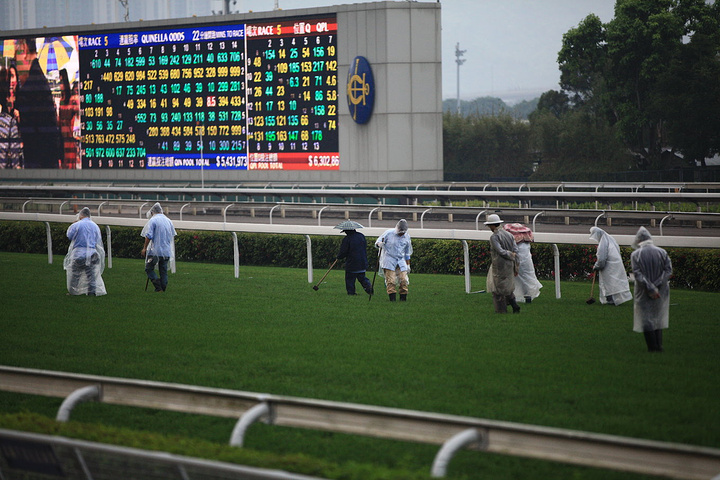 2017跑马地一般每周三晚上举行赛赛_沙田马场