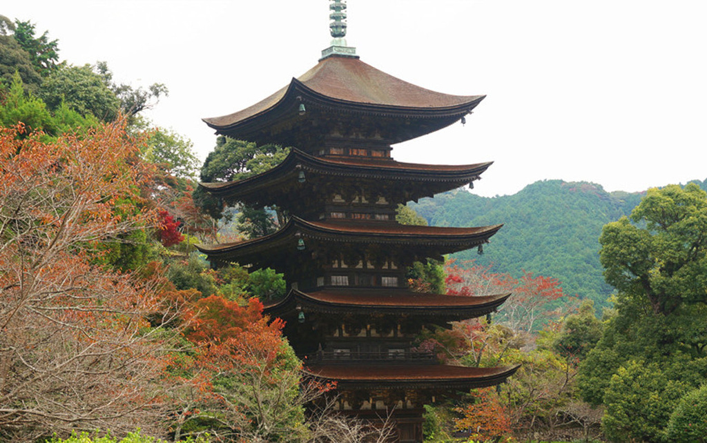 琉璃光寺 Duncaninvet