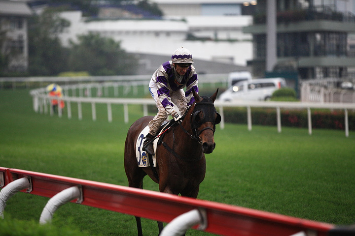 2017跑马地一般每周三晚上举行赛赛_沙田马场