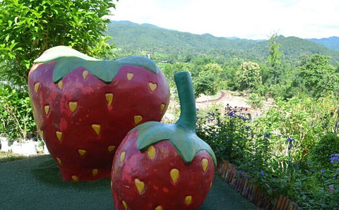 草莓园旅游景点攻略图