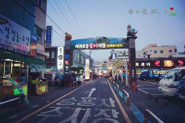 西归浦每天偶来市场