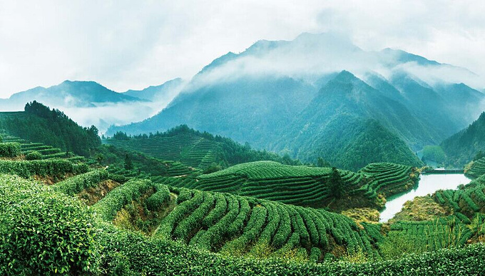 回忆开化,是一树一树的精灵-开化旅游攻略-游记-去哪儿攻略